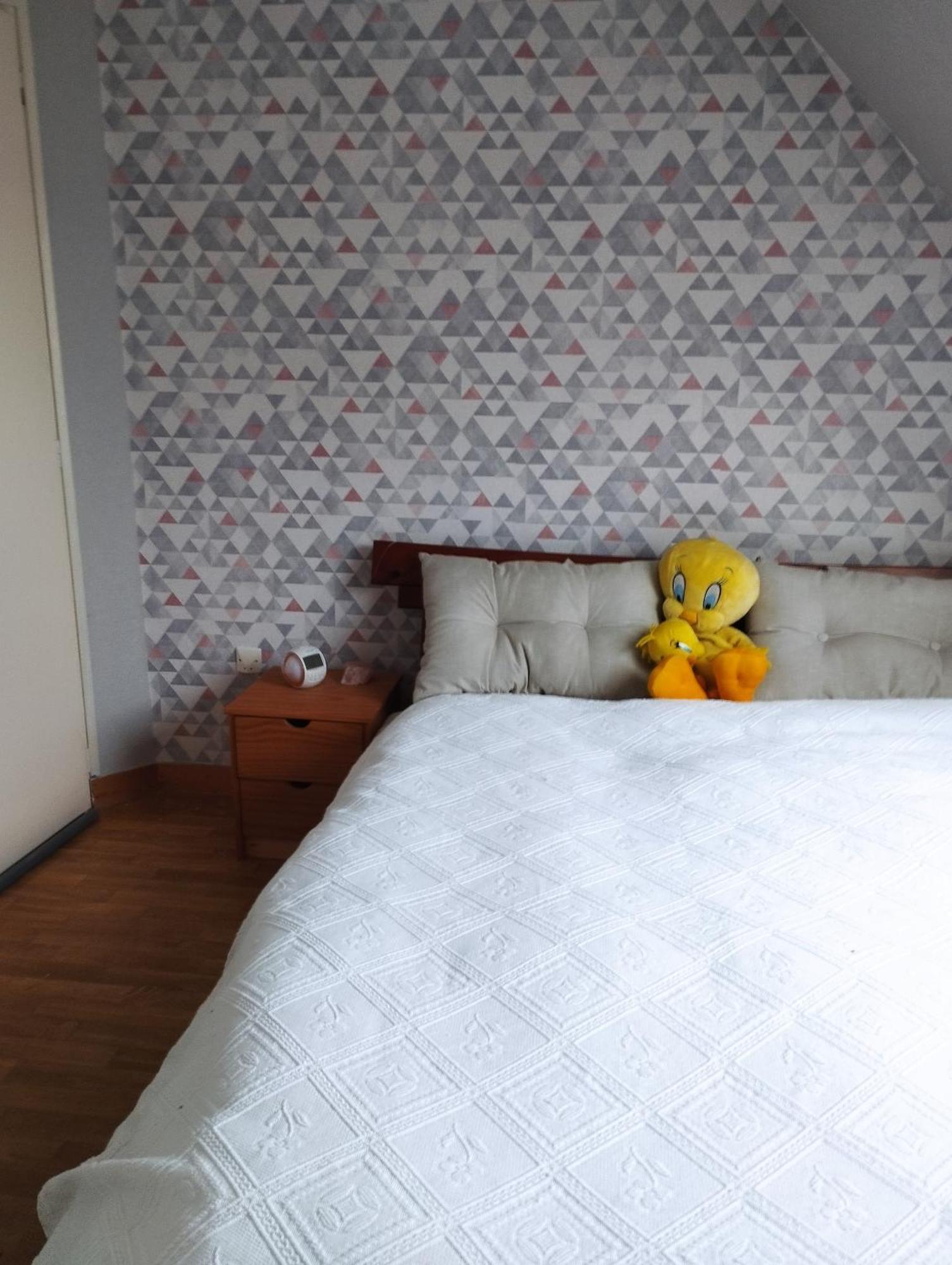 Les Mesanges Bleues Apartment Saint-Jouan-de-l'Isle ภายนอก รูปภาพ